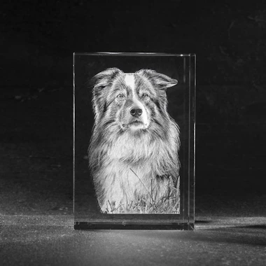 Top 5 momenten om een foto in glas cadeau te doen Top 5 momenten om een foto in glas cadeau te doen